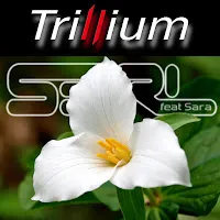 S3Rl — Trillium (Feat. Sara) — обложка